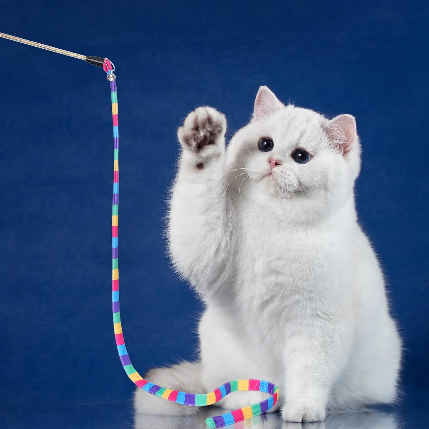 Colorful Ribbon Cat Teaser Wand Toys